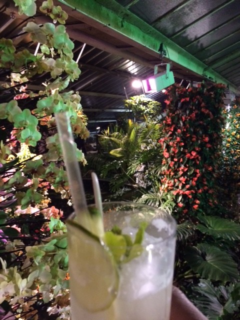 Gin cocktail at the gin club kew